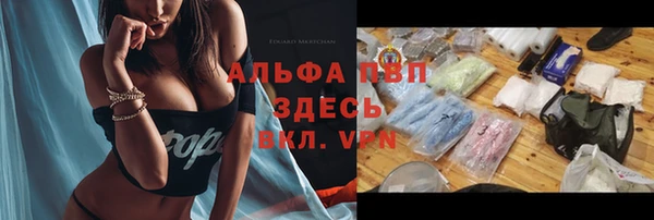 СК Иннополис